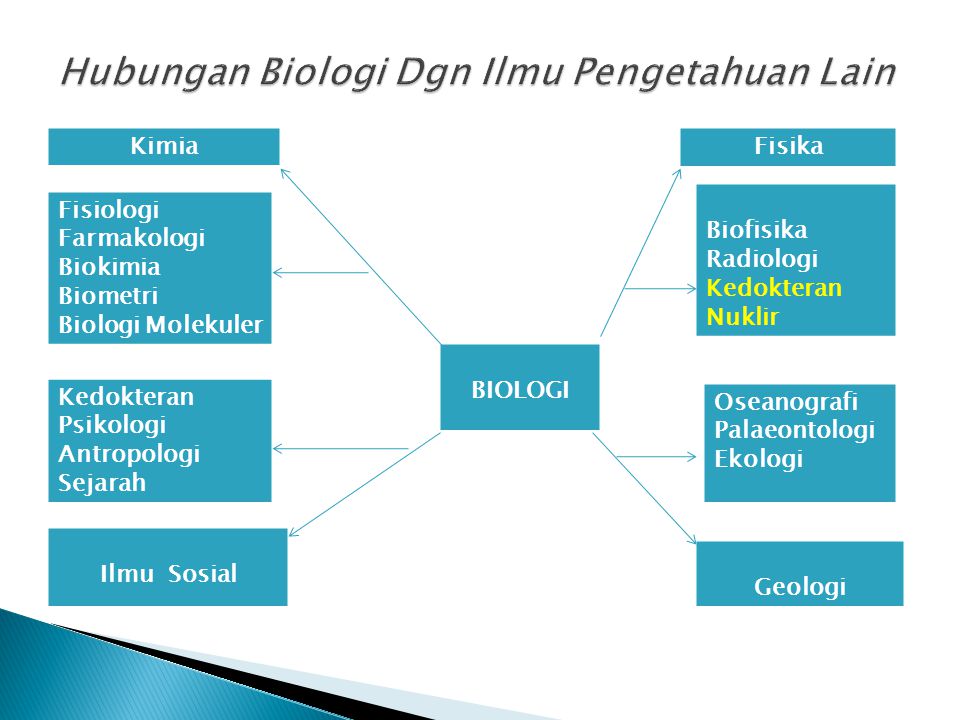 Hubungan Ilmu Biologi Dengan Ilmu Lain Terkait Ilmu